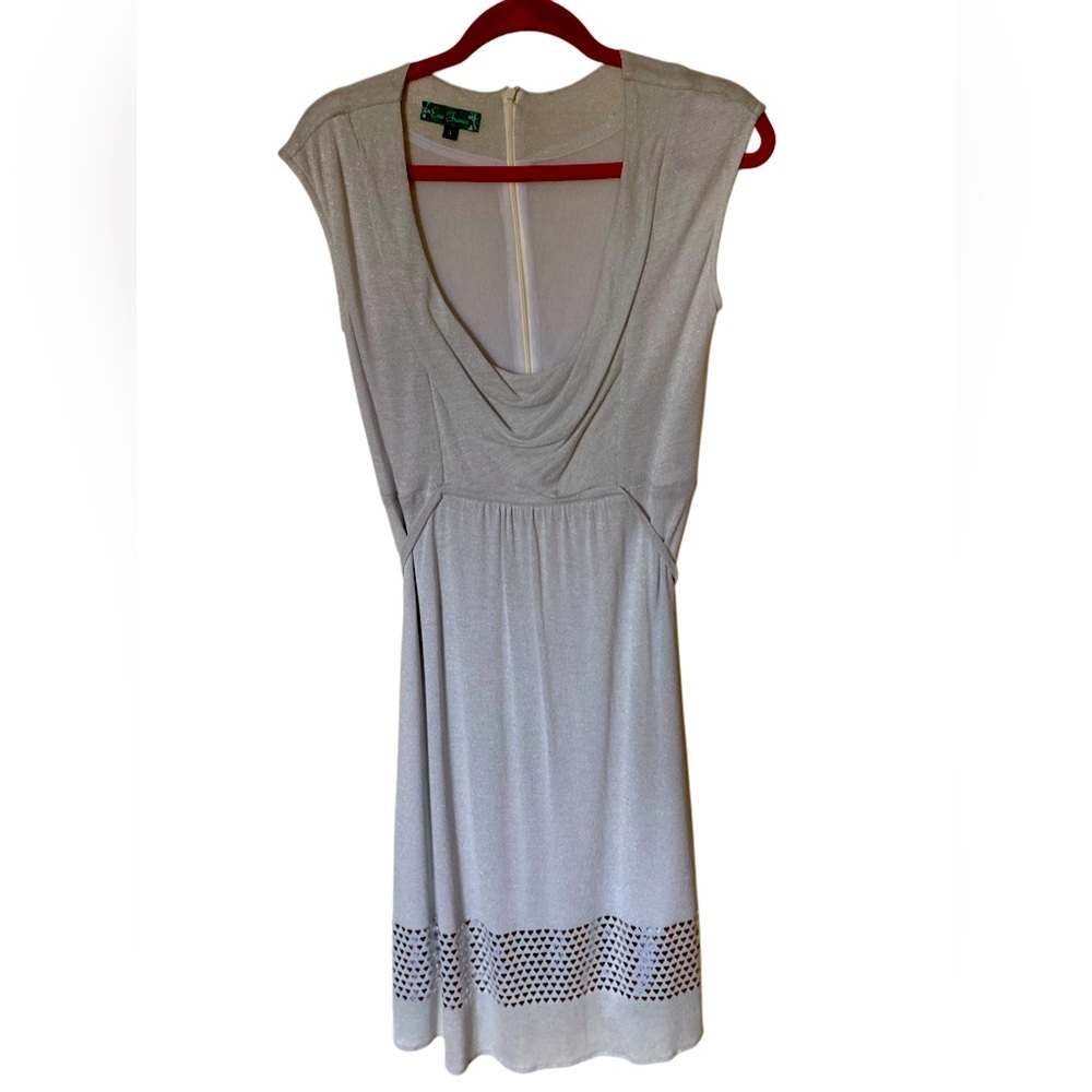 Eva Franco Party Dress 👗